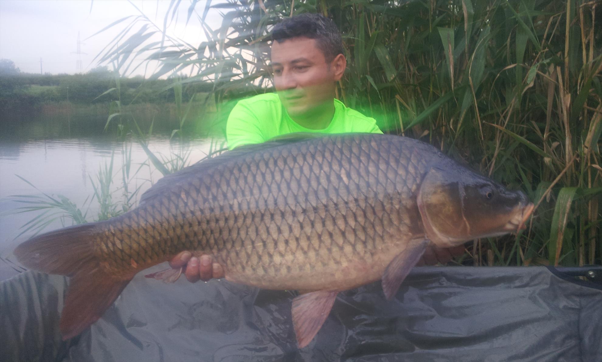 Tancabesti 18 - 19 iul. - 20140718195251.jpg